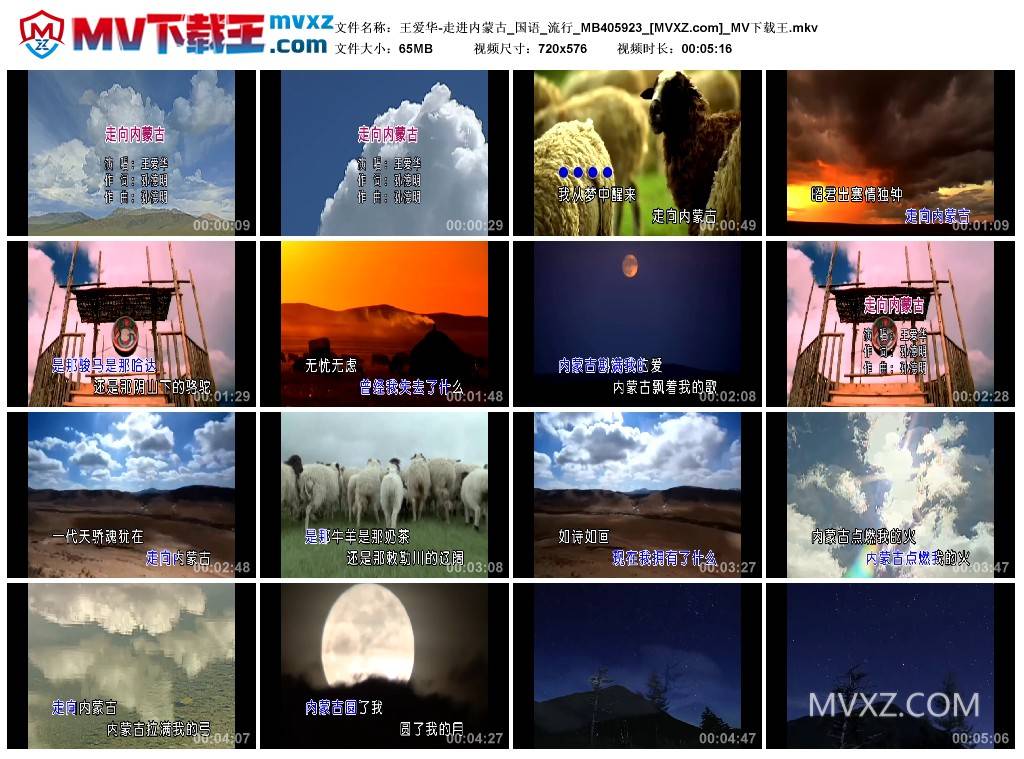 王爱华-走进内蒙古_国语_流行_MB405923